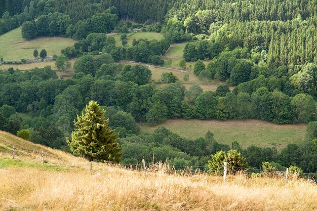 Paisaje de los Vosgos