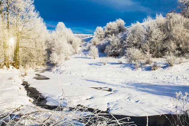 Paisaje de Wintre - árboles cerca del río y cielo azul