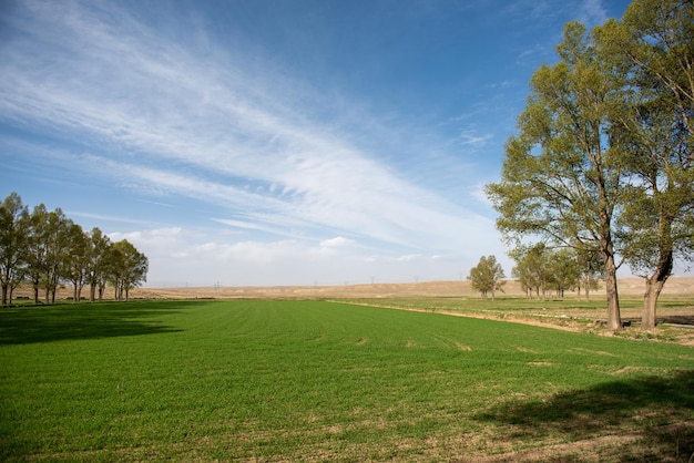 El paisaje en xinjiang