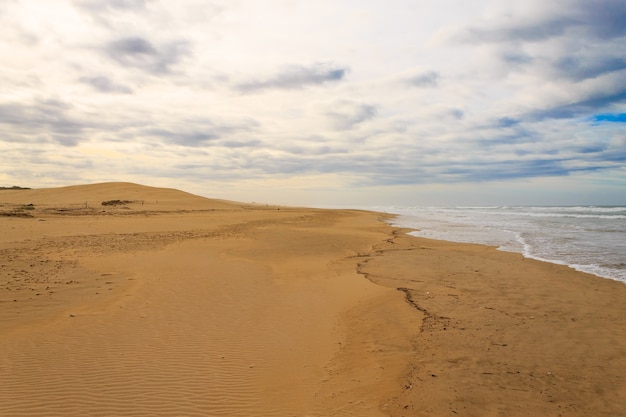 Paisaje de la zona marina del Parque Nacional de Elefantes Addo. Dunas de arena en la costa. Panorama africano, Sudáfrica