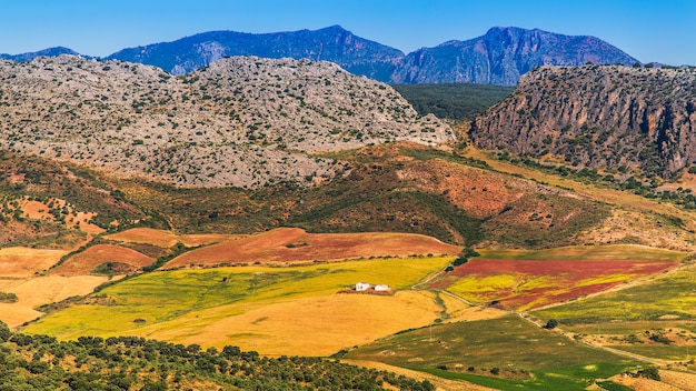 Paisaje en zonas rurales, Andalucía, España.