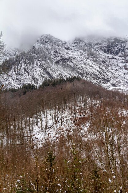 paisajes alpinos