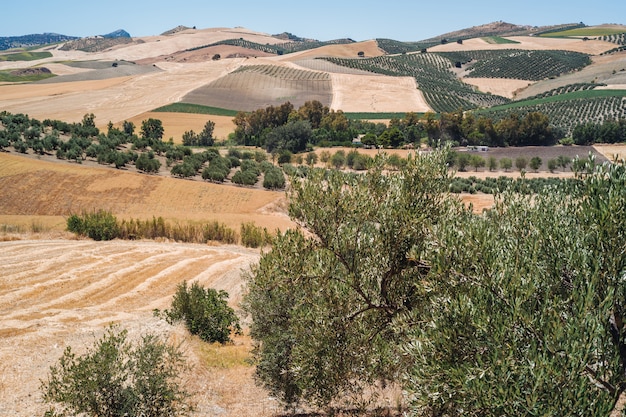 Paisajes de andalucia, españa