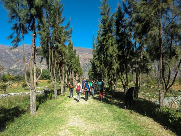 Paisajes de Campo Santo en Yungay Huaraz Perú Campo Santo