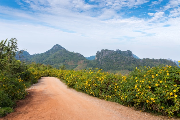 Paisajes hermosos en Phu Pa Poh, provincia Loei, Tailandia.