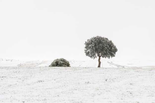 Paisajes del interior de Granada Andalucía España