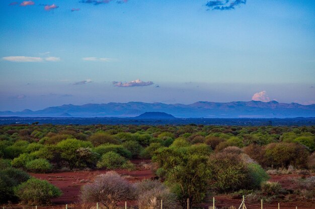 Paisajes de Kenia El volcán inactivo del Monte Kilimanjaro ubicado en la región de Kiliman jaro de Tanzania