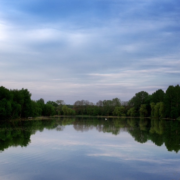 Paisajes del lago