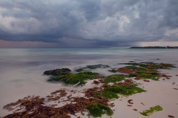 Foto paisajes marinos de la península de yucatán, méxico