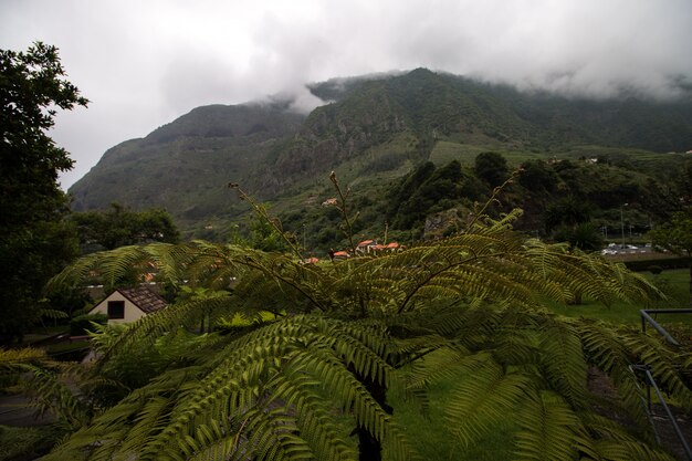 Paisajes de montaña de la isla de madeira