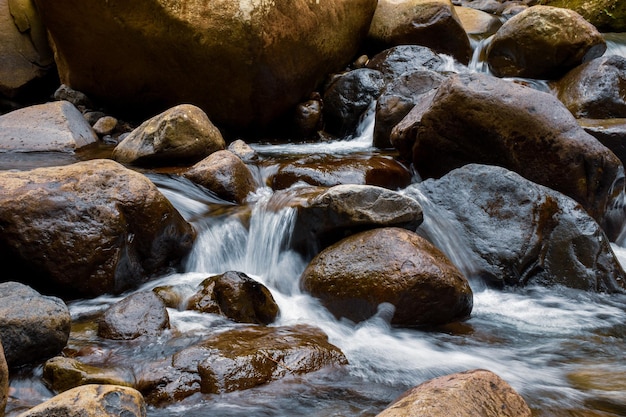 Foto paisajes - naturaleza en davao