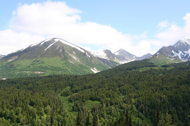 Paisajes, naturaleza y glaciares en Alaska