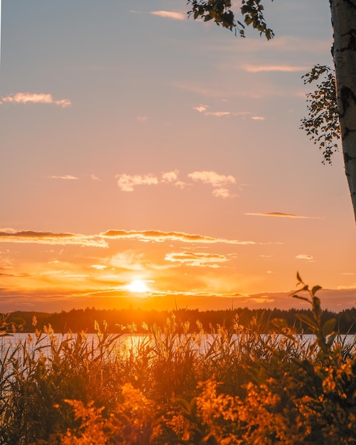 Foto paisajes - naturaleza en lulea