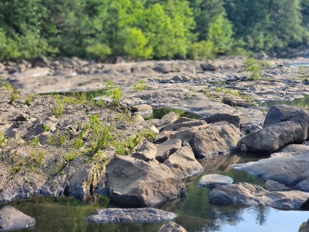 Foto paisajes - naturaleza