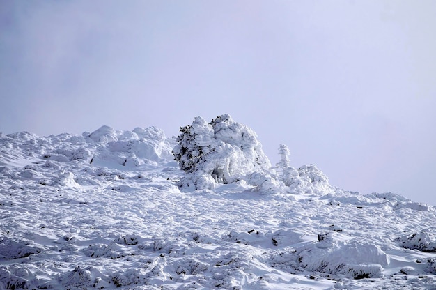 Paisajes nevados del interior de granada españa