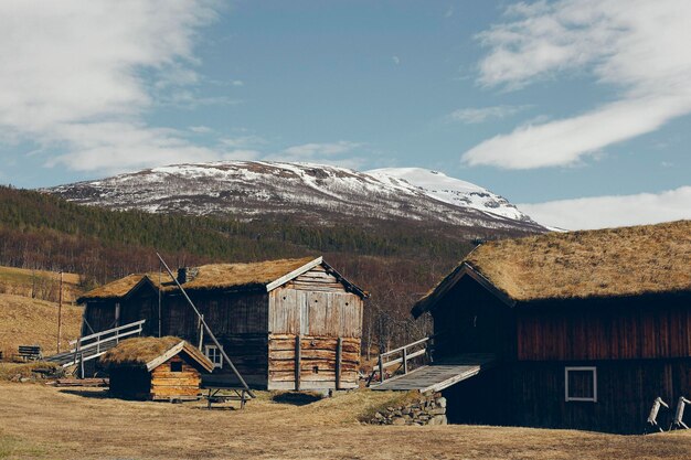 Paisajes noruegos con nieve y árboles