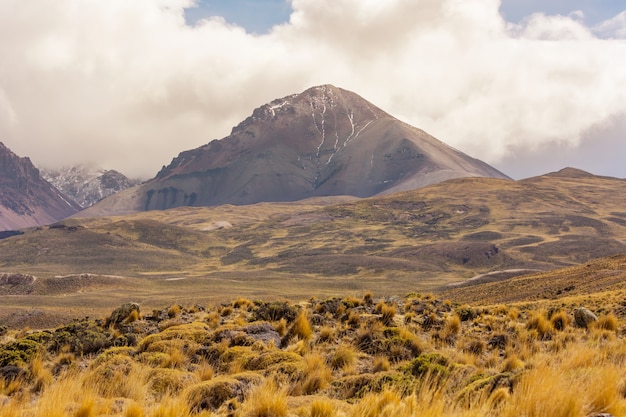 Paisajes de la Patagonia en el sur de Argentina