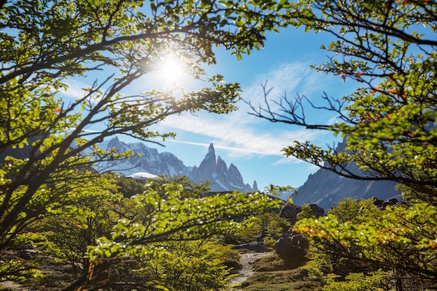 Paisajes de la Patagonia en el Sur