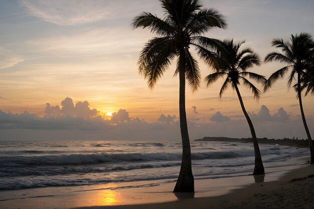 Foto paisajes de una playa al atardecer con una palmera