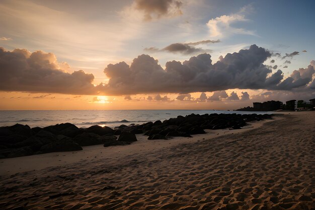 Foto paisajes de una playa al atardecer con una palmera