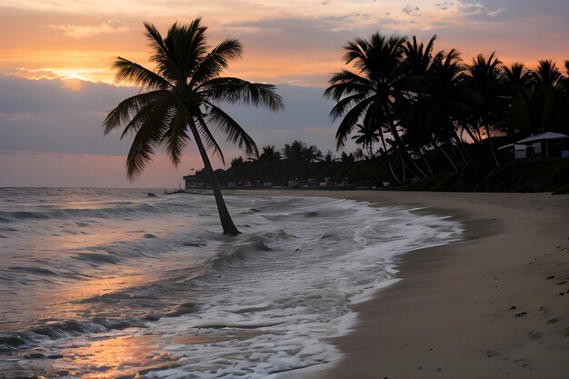 Paisajes de una playa al atardecer con una palmera