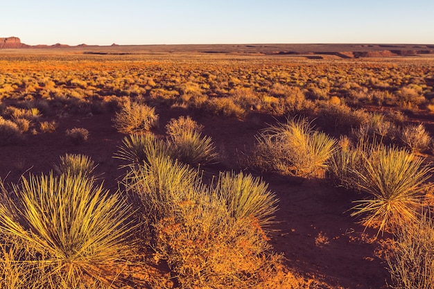 Foto paisajes de la pradera