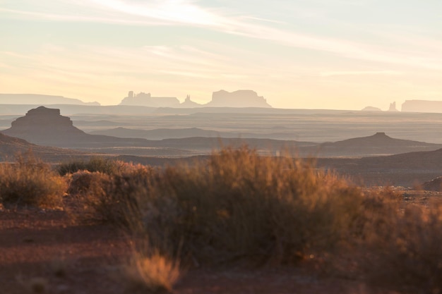 Paisajes de la pradera