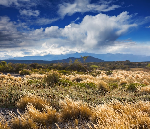 Paisajes de praderas en Utah, EE. UU.