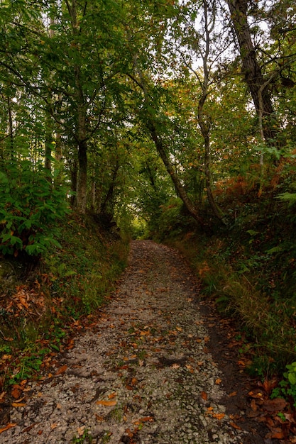 Paisajes rurales del interior de asturias