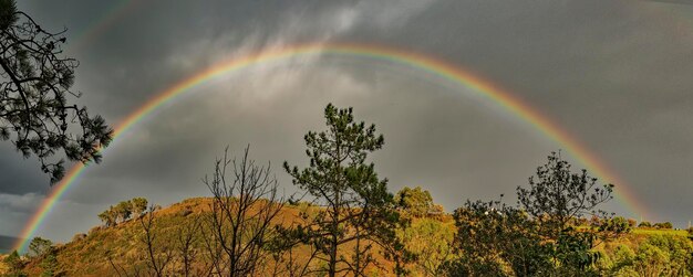 Paisajes rurales del interior desde