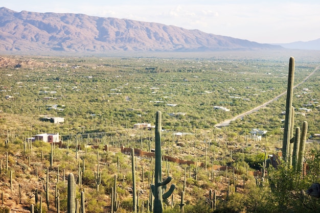 Paisajes sobre el suburbio de Tucson.