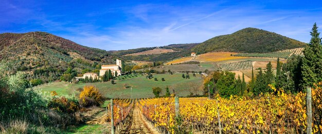 Paisajes de la Toscana - abadía de Sant'Antimo y viñedos, Italia. paisaje de otoño.