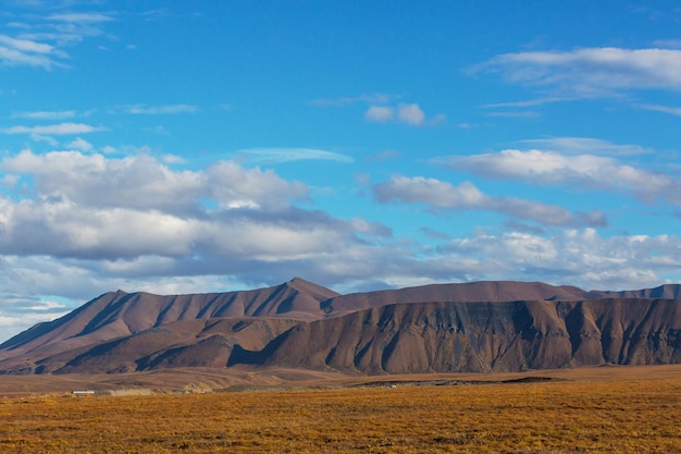 Paisajes de tundra sobre el círculo polar ártico