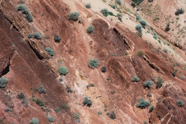 Paisajes del valle de marte