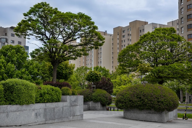 Paisajismo de los árboles y arbustos de la ciudad en el distrito