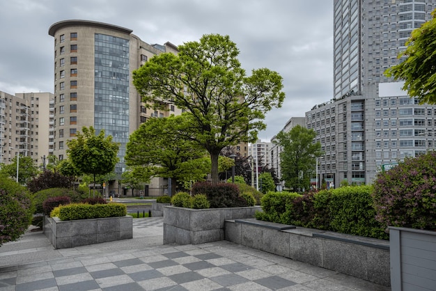 Paisajismo de los árboles y arbustos de la ciudad en el distrito