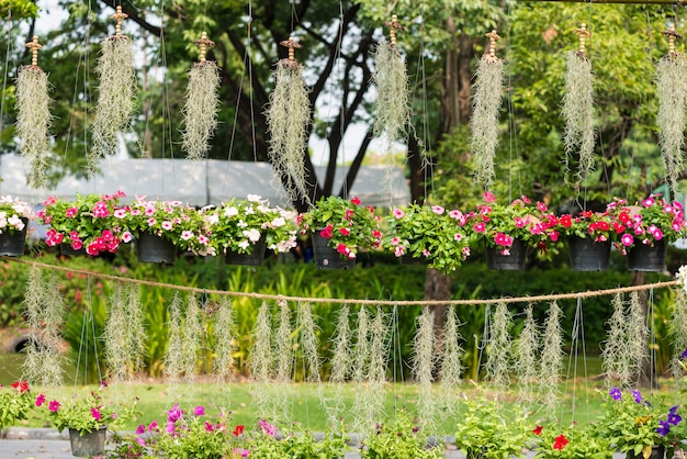 Paisajismo con flores de berros y musgo español.