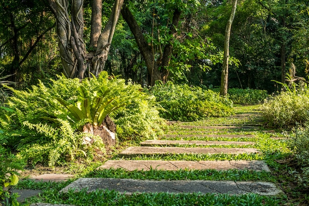 Paisajismo en el jardín