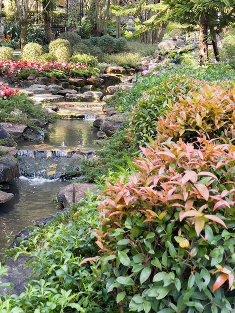 Paisajismo tropical en el jardín de su casa