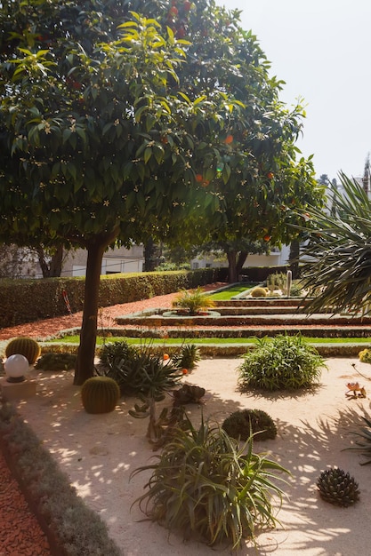 Paisajismo y varias plantas en el jardín Bahai