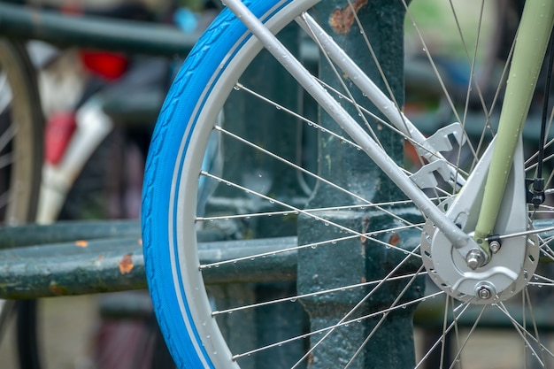 Países Bajos. Primer plano de la rueda de bicicleta en la valla del canal. Gotas de agua cuelgan de las agujas después de la lluvia