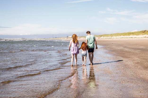 países bajos, zandvoort, familia, ambulante, en, el, seashore