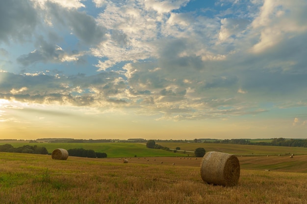 Foto un pajar en un campo contra el fondo de hermosas nubes después de la lluvia la cosecha de los cultivos de granos la cosechas de paja para la alimentación de los animales el final de la temporada de cosecha balos redondos de heno