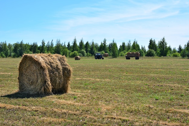 pajar enrollado en campo vacío con tractor cargando pajares en el fondo