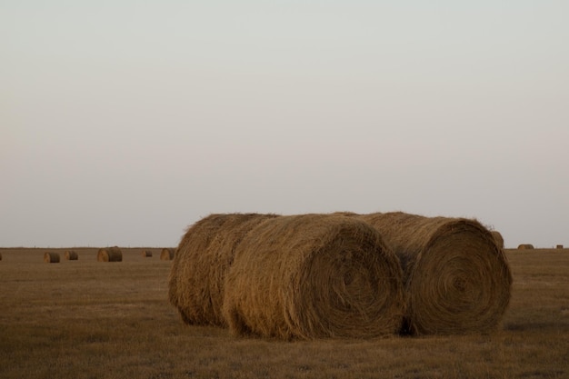 Pajar en la granja al atardecer.