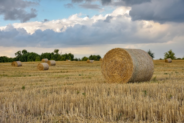 Pajar redondo en el campo