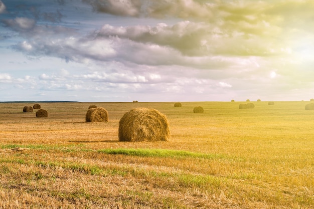 Pajar retorcido en el paisaje del campo agrícola