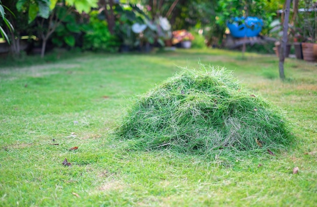 Pajar verde segado en el césped delantero para su eliminación segando el cuidado del hogar césped verde cortar la hierba