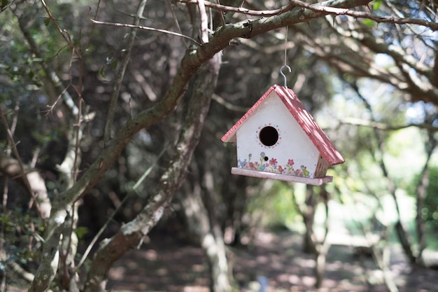 Una pajarera colgando de un árbol en un bosque