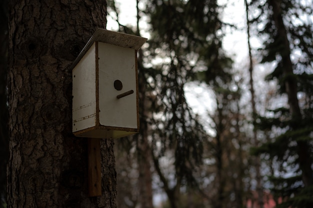 Pajarera para pájaros montados en un árbol